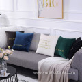 Custom Indoor Velvet Sofa Pillow Cushion